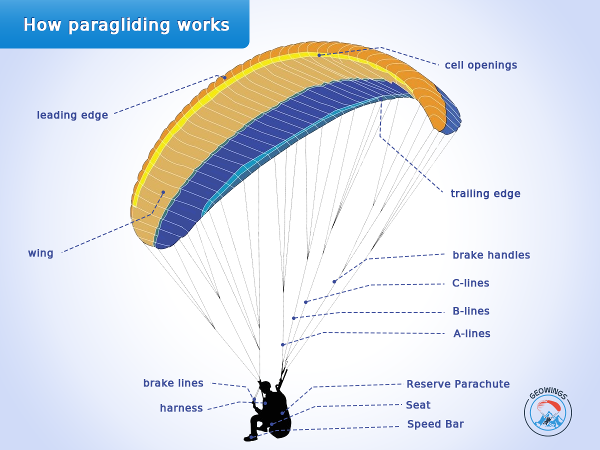 components of a paraglider